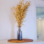 阿迪西洛度假屋 *