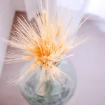阿迪西洛度假屋 *