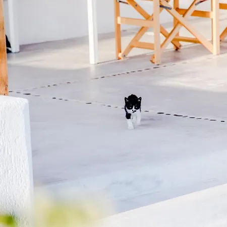 Casa vacanze Agnandi Cielo Tourlos